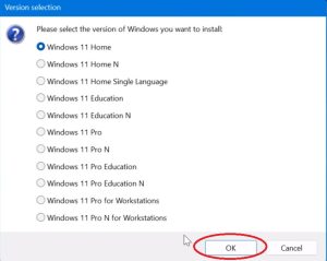 Version of Windows 11