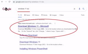 Google Windows 11 ISO download