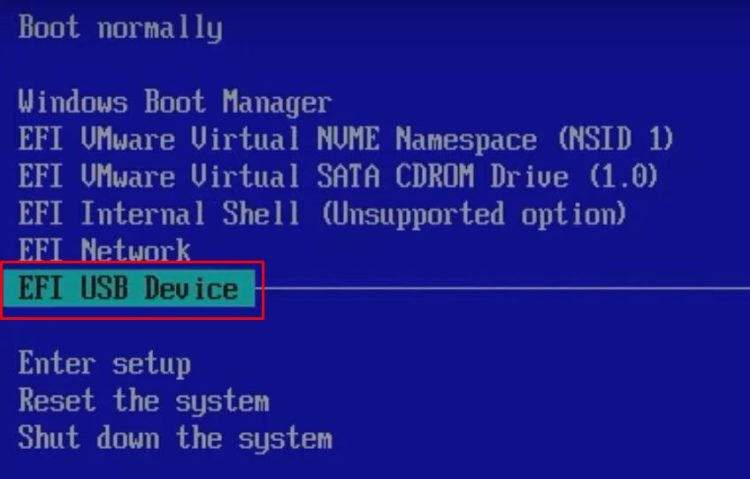 Boot from the USB device