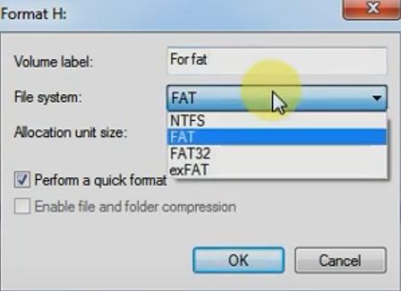 In the format window, choose "FAT32" for drives 32GB or smaller.