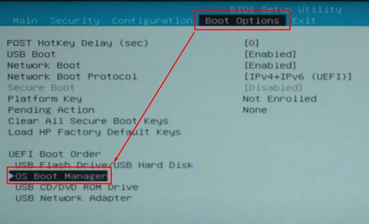 the BIOS setup utility.