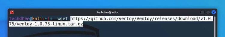 Kali linux terminal