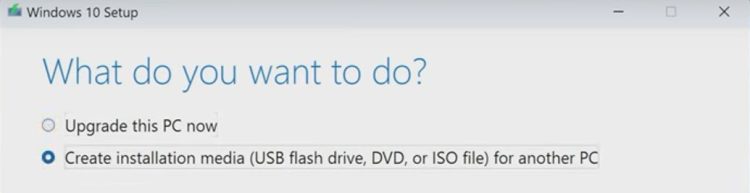 Choose to download the Windows 10 ISO file