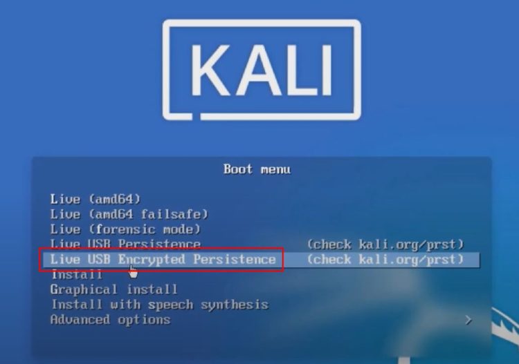 Kali with Persistance