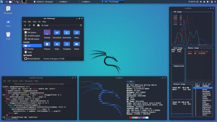 Kali Linux Desktop